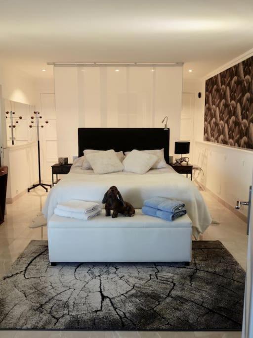 Elegant-Cosy 2P55M2 Dans Bas De Villa Provencale ! ヴィルヌーヴ・ルベ エクステリア 写真